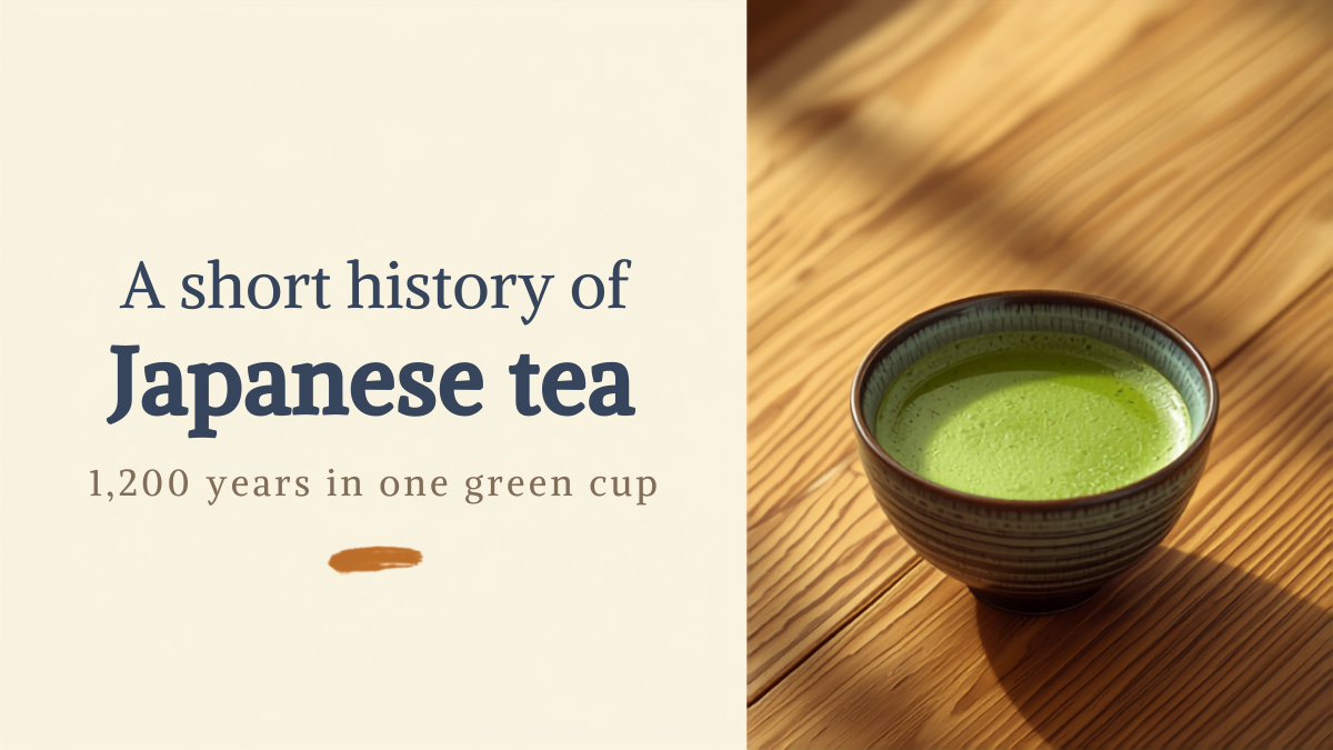 How the green tea in your cup got here: a short history of Japanese tea