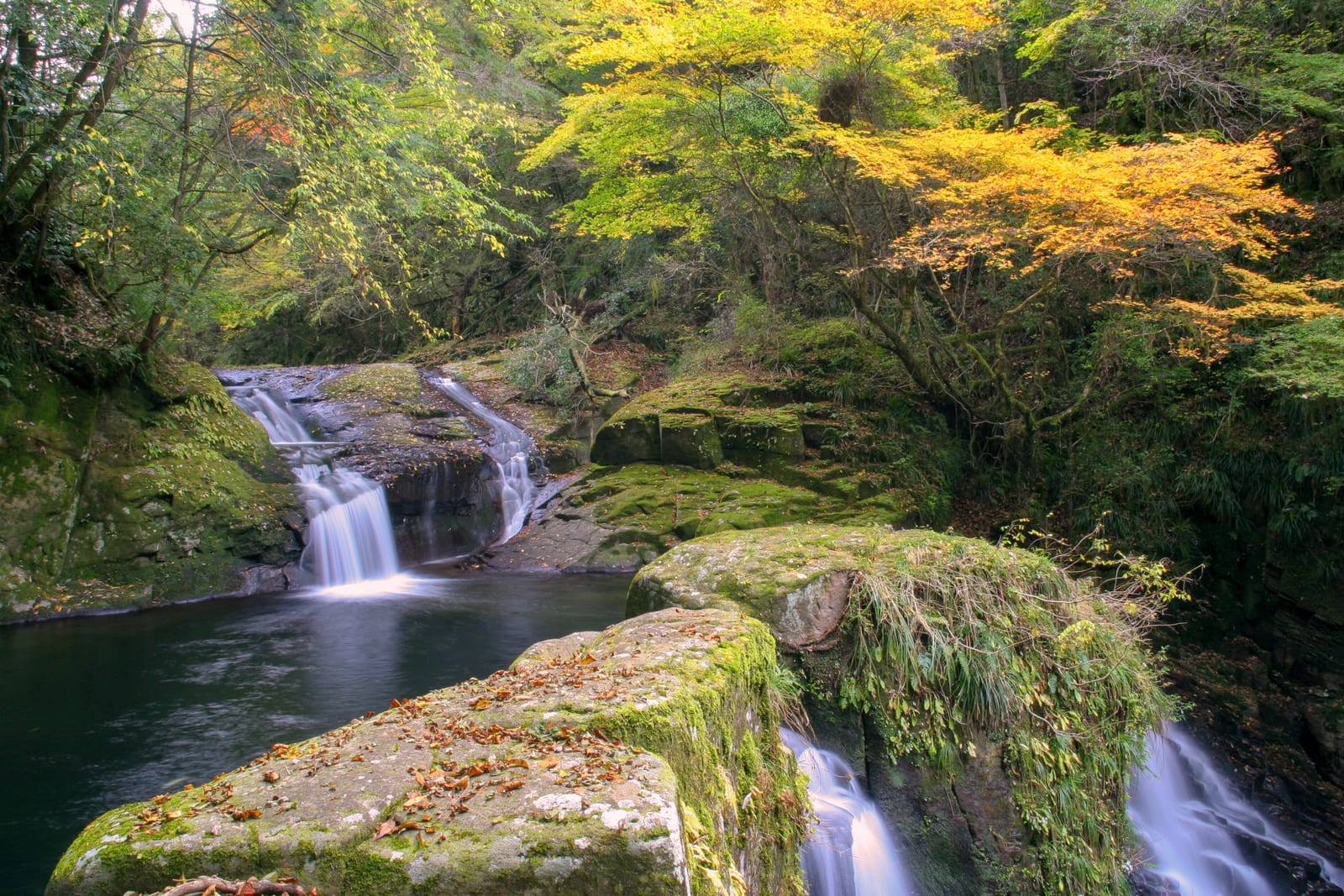 A small waterfall slipping like white threads past a moss-covered ledge.