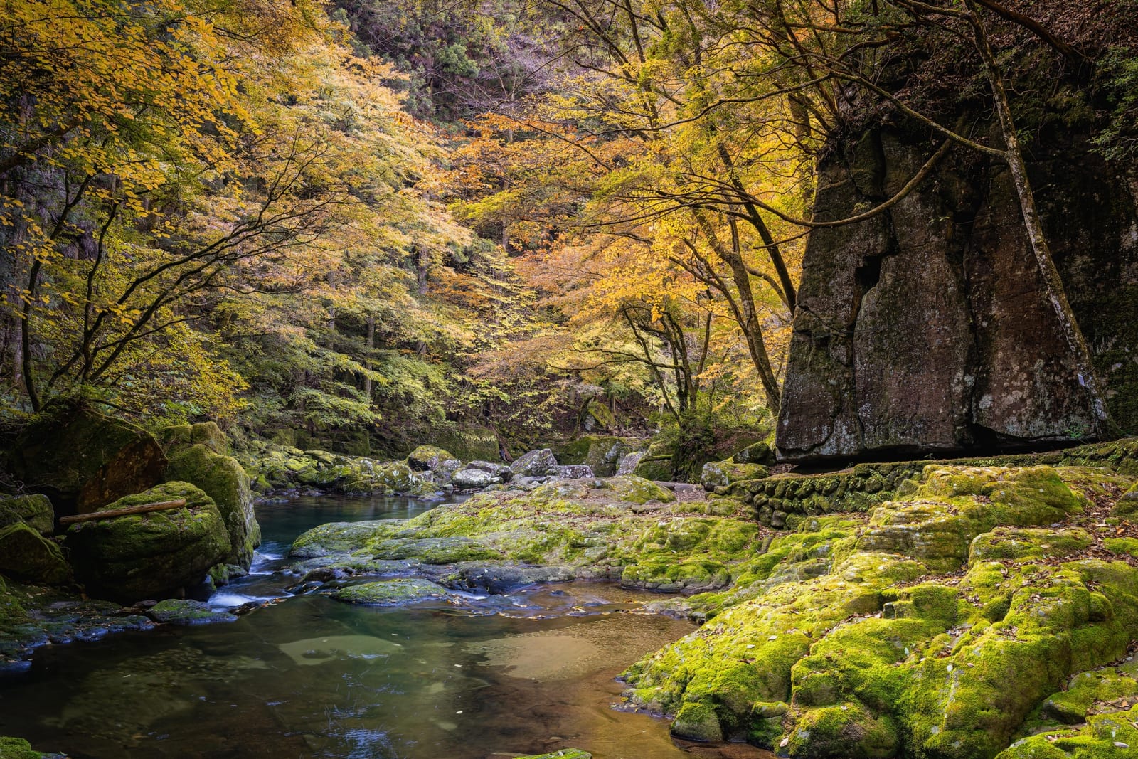 Clear water drifting between moss-covered rocks deep in the valley.