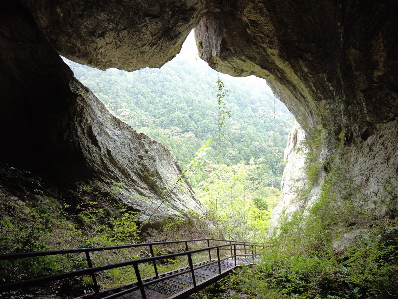 A natural stone arch high on the hillside, framing the sky above the forest.