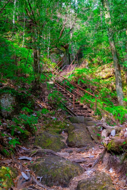 Steep stone steps and an iron ladder bolted to the rock on the climb up.