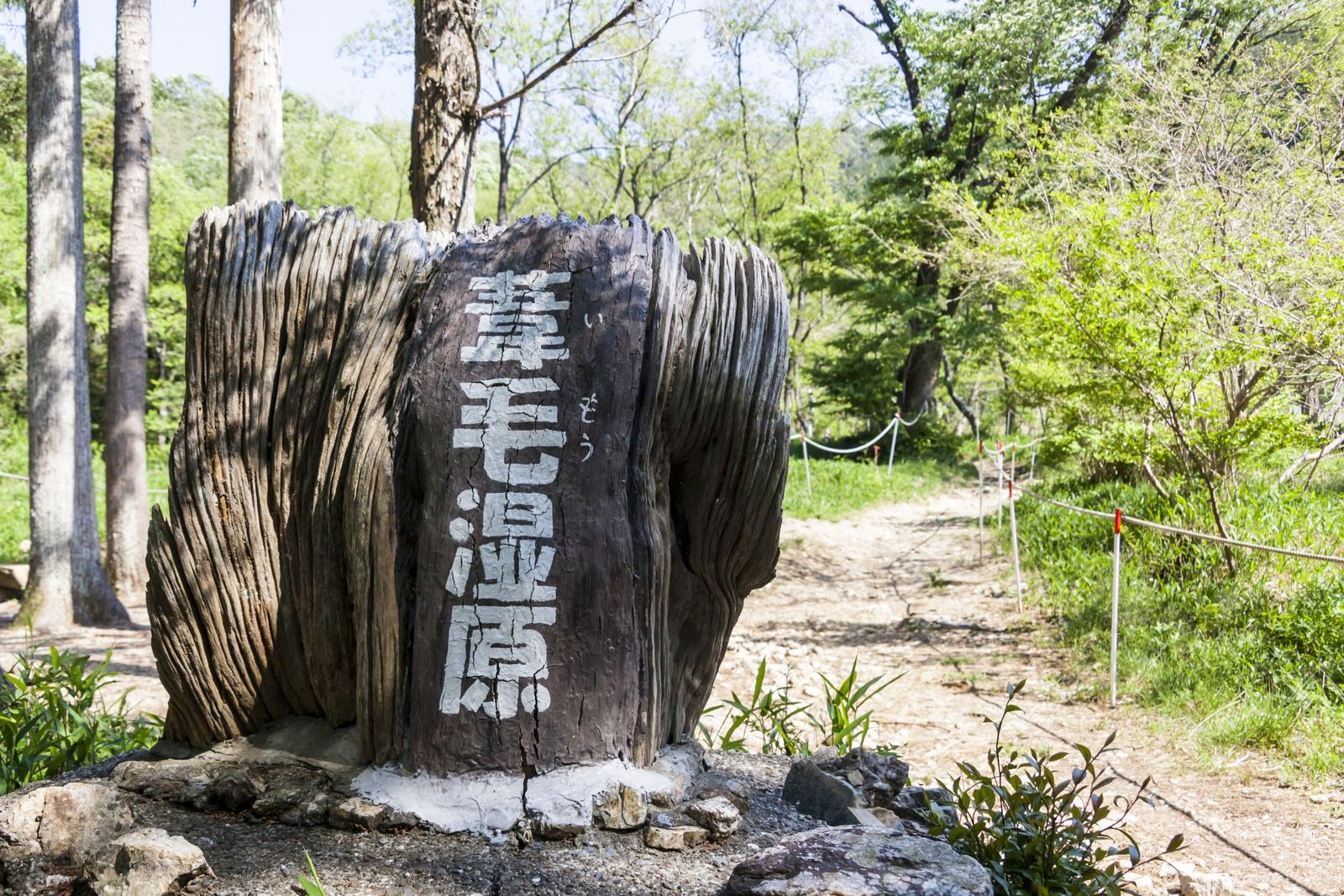 The weathered wooden post at the entrance, marking the way in to Imo Marsh.