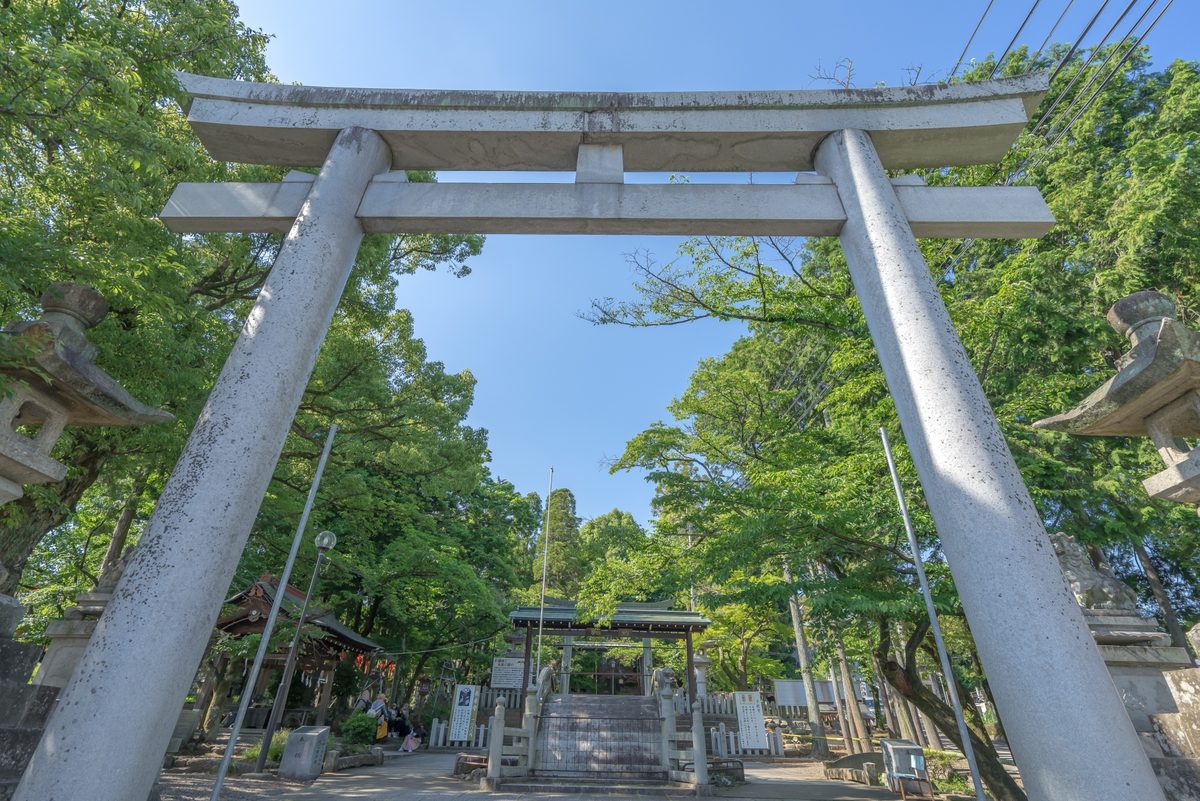 A large stone torii gate, with the castle keep glimpsed through the green trees beyond.