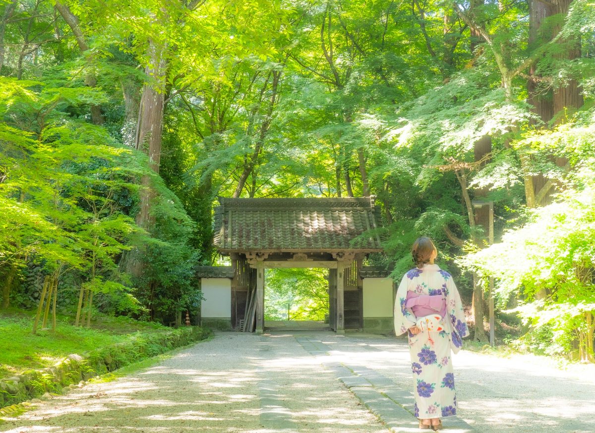 A visitor in a colourful kimono pauses before the temple gate amid fresh summer green.