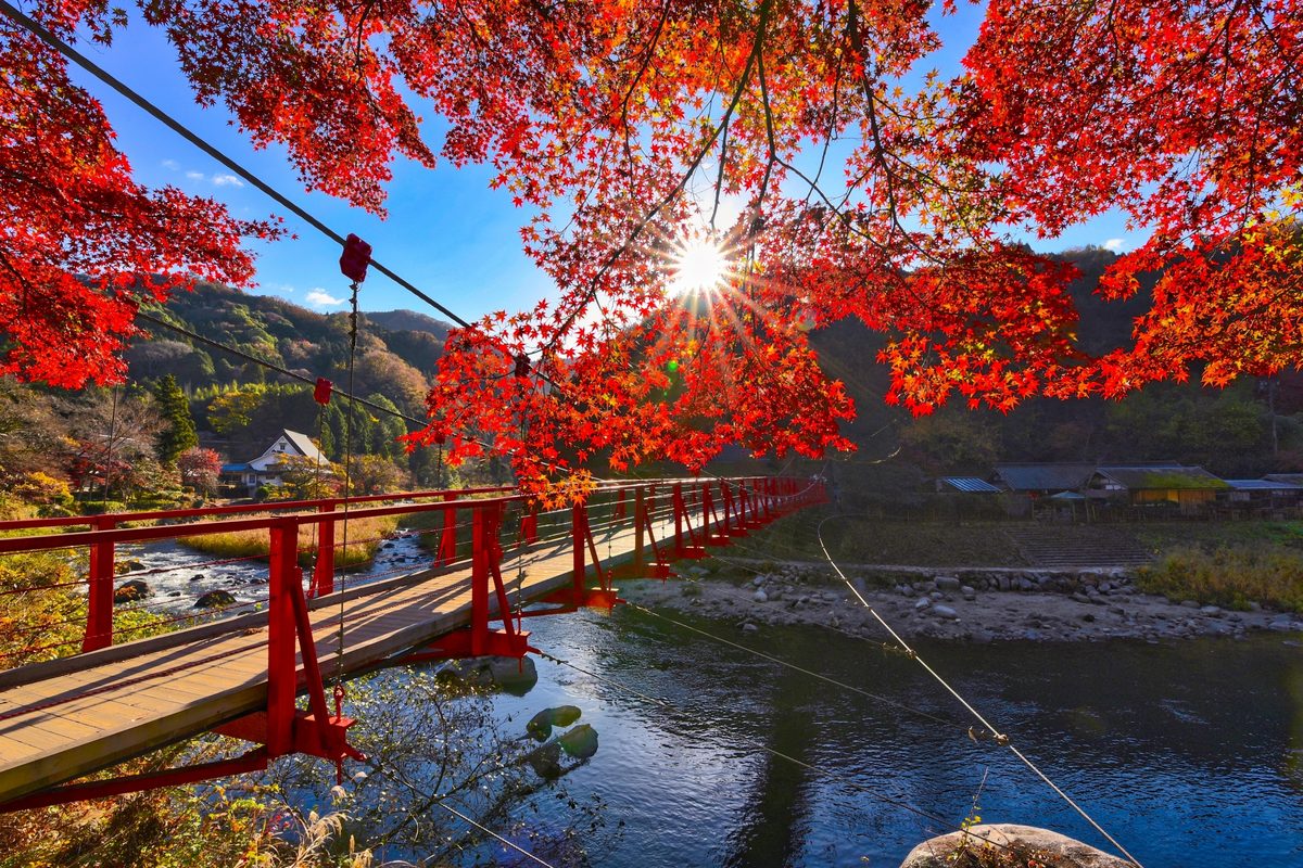 The iconic red Taigetsukyō Bridge over the Tomoe River, glowing through scarlet maple leaves.