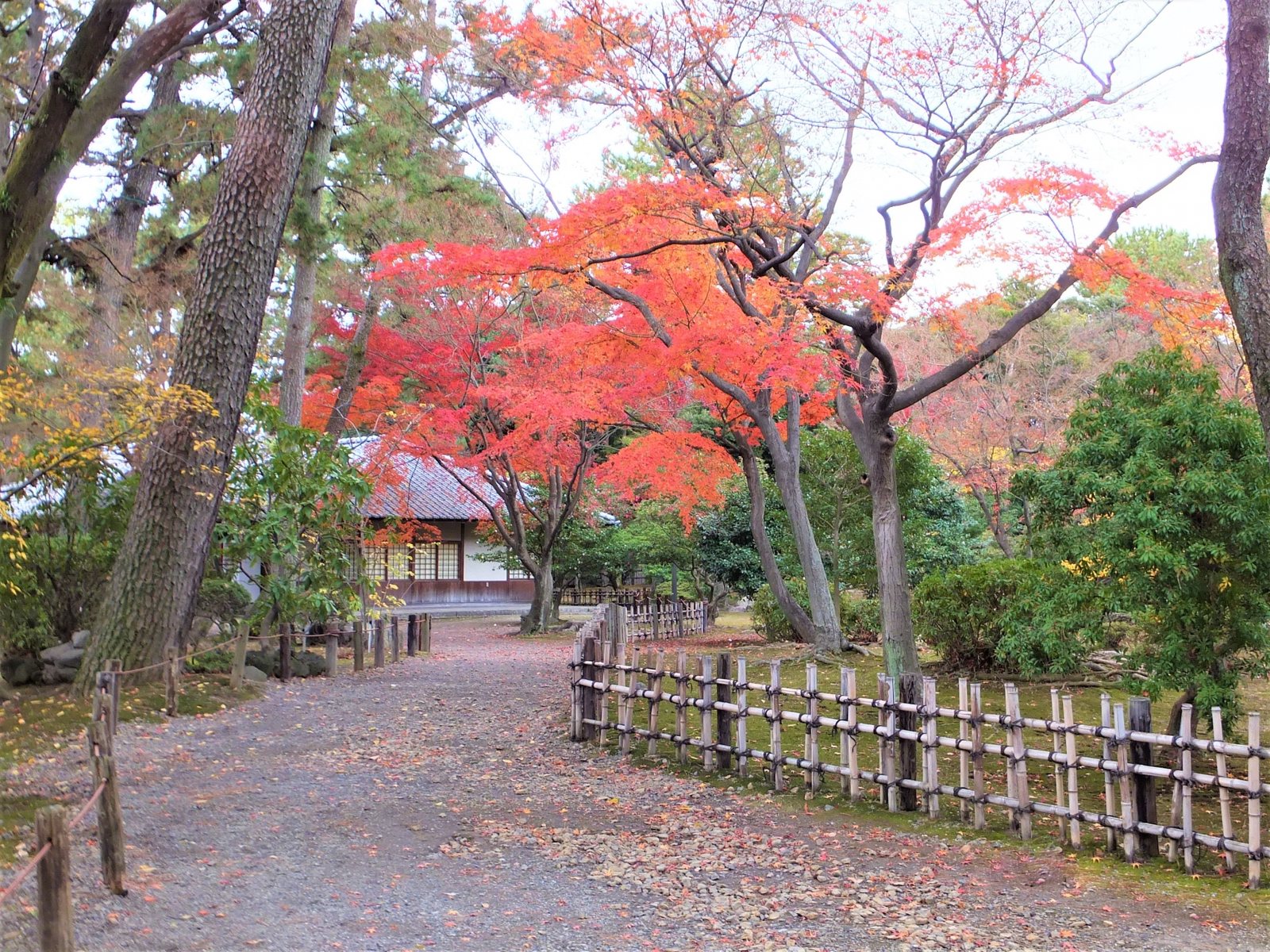 Nagoya Castle