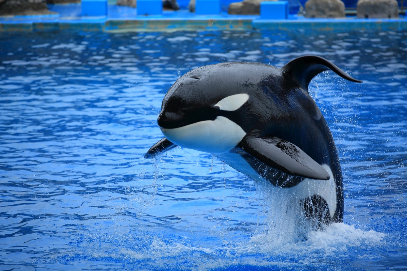 Nagoya Port Aquarium
