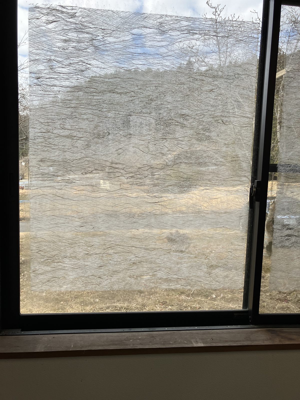A large sheet of fibrous washi over a window, the hillside glowing through it.