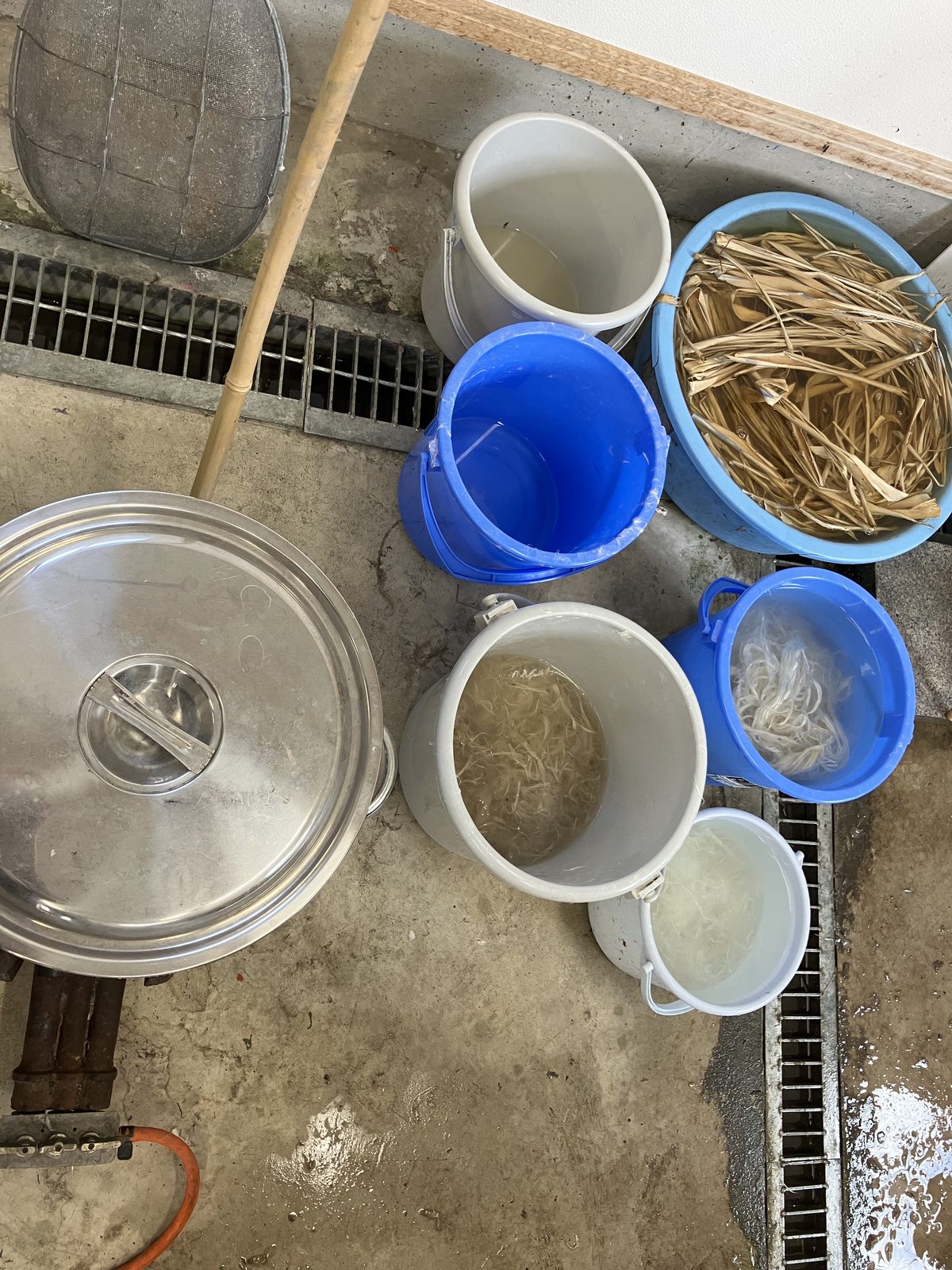 Buckets of kozo (paper-mulberry) bark soaking on the workshop floor.