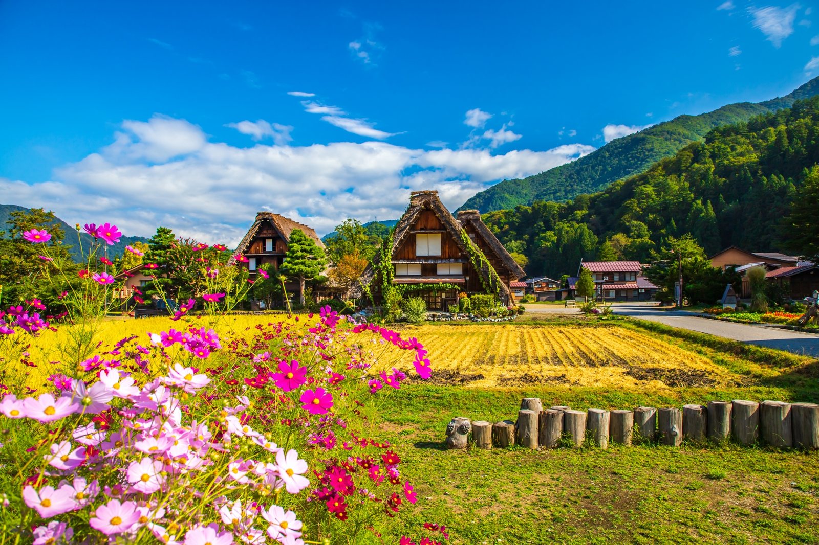 Shirakawa-go