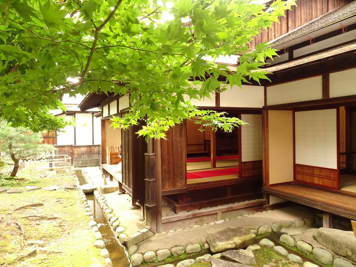 A quiet inner room and mossy garden framed by green maple leaves