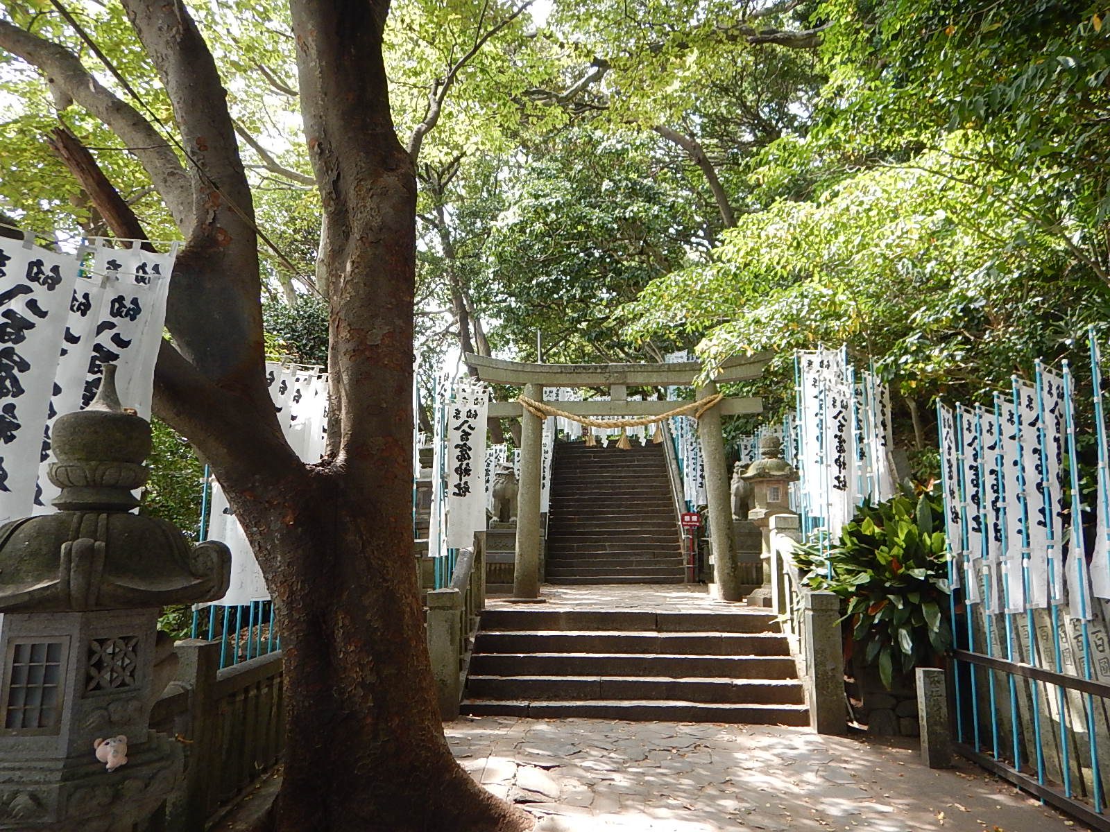 Stone steps climbing through the evergreen forest to Yaotomi Shrine at the island's heart.