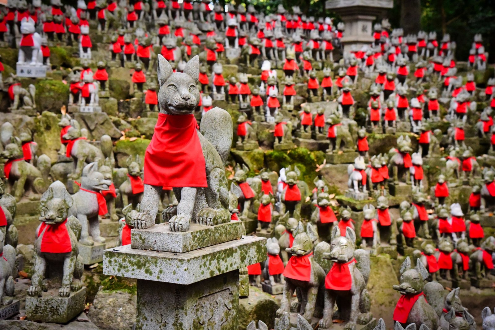 Ranks of stone foxes at Reikozuka, behind the main halls of Toyokawa Inari.