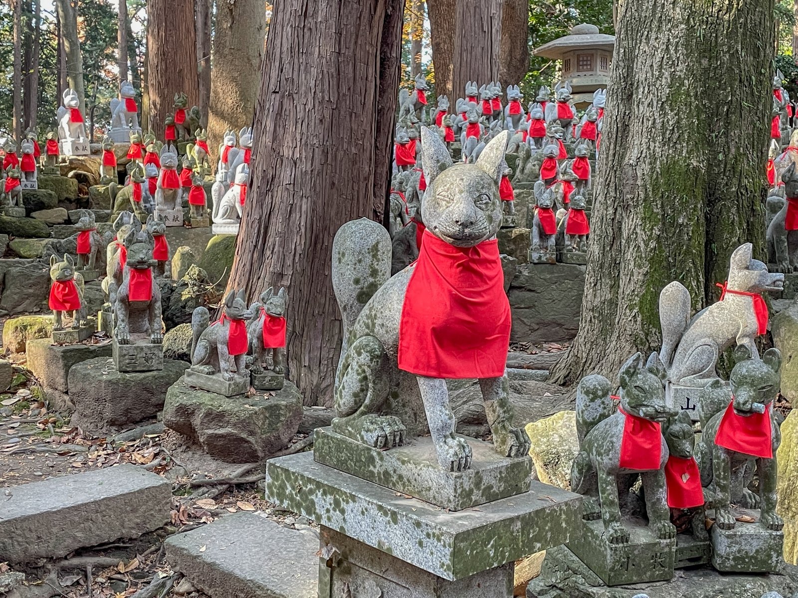 More of the stone foxes of Reikozuka, standing among the old cedars.